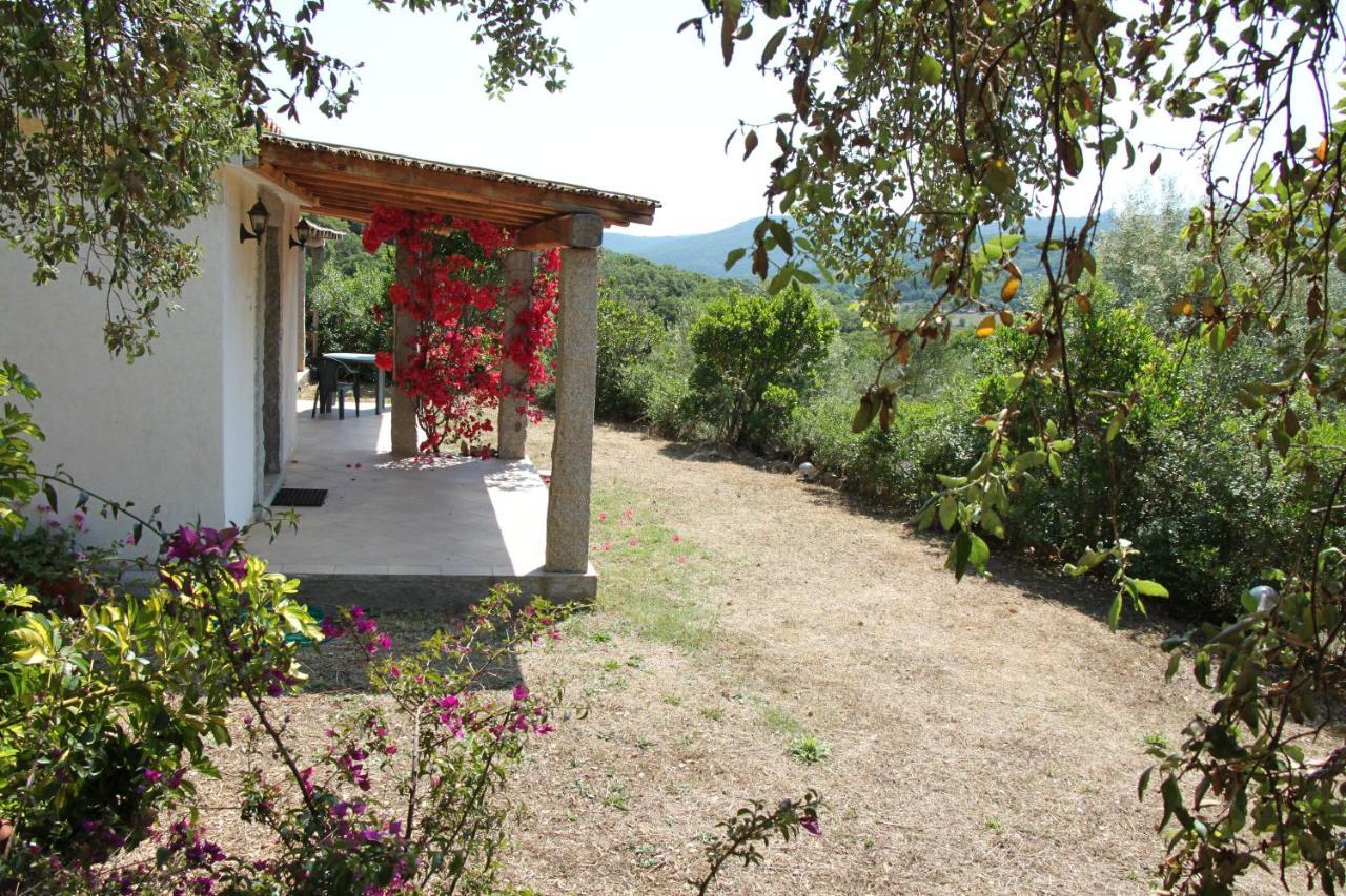 La Puntaccina Villa Aglientu Exterior foto