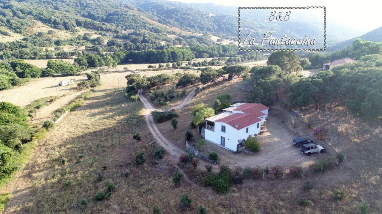 La Puntaccina Villa Aglientu Exterior foto